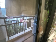 客厅