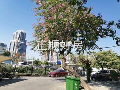 小区图