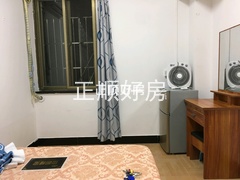 客厅