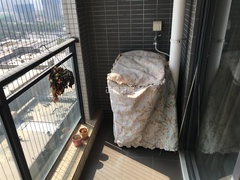 阳台