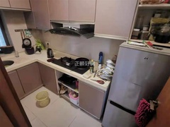 sB980733F65214F529E2652F7DD91D284.jpg