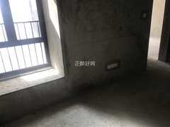 sEF9006F3623A47089934DAAAAED9DFA1.jpeg