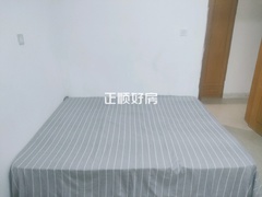 主卧