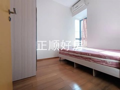 s1242AE6DA6AD420F9D0B531970DD2189.jpg