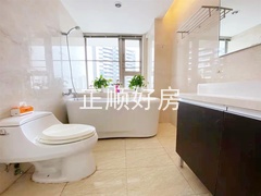 s2384ED486C9D4631AE759ADD9A12EF80.jpg