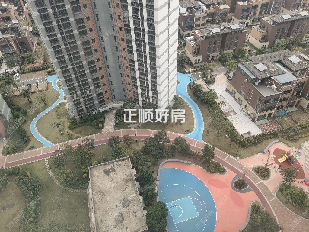 实景图