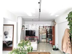 客厅