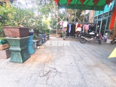 客厅