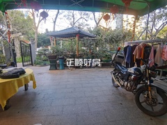 客厅