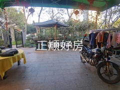 客厅