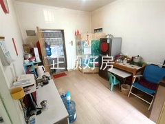 客厅