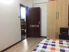 s95D167E73E00463493004972F6935160.jpg