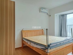 sB381CA38767844D89A331F279B9CE9CD.jpg