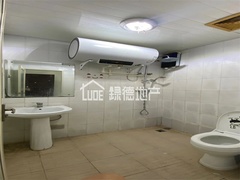 sF1908F2736EE407C8C1F10100D6B963C.jpg