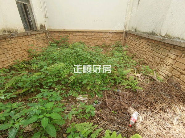 客厅