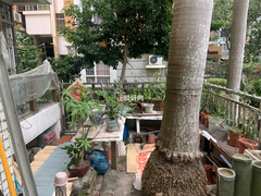 客厅
