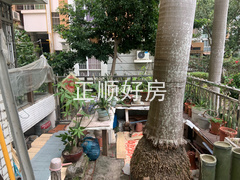客厅