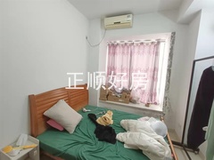 s0EDE9B76A4604501A52F6E5AB4874C81.jpg