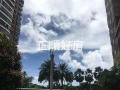s336BD28BA039426C8E96D7AD5EBF38C9.jpg