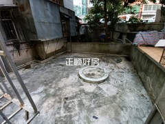 客厅