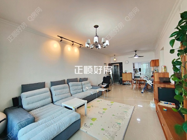 客厅