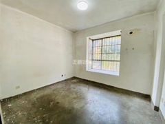 s0AC40332E3AC4EB5927949D7C293D6D6.jpg