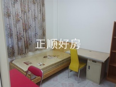 s233028652F2C49CAAA3D248A5FC40F3D.jpg
