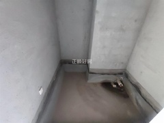 sD53AD7D5C3FB4AF6A4EBBF03ECD23EF1.jpg