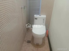 sED5619915CD74EB08278AE8C3BD504AB.jpg