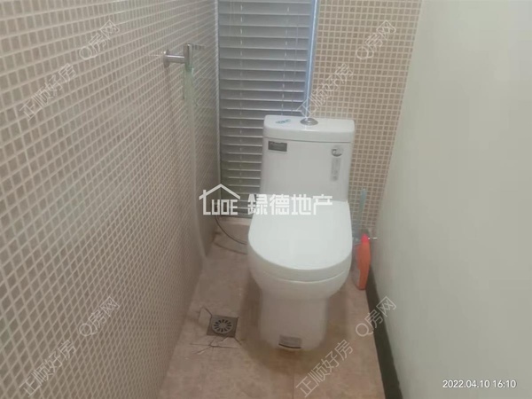 sED5619915CD74EB08278AE8C3BD504AB.jpg