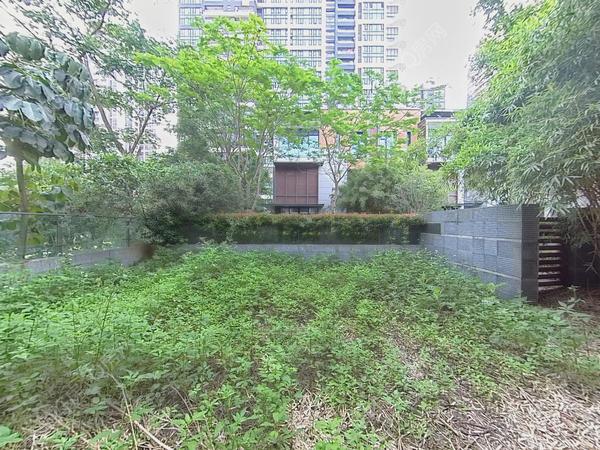 VR看房