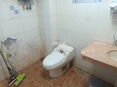 s2939A88D24B246339ED7C4FFD2098774.jpg
