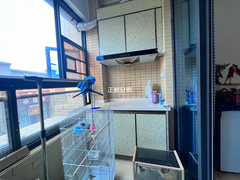 客厅