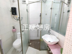 客厅