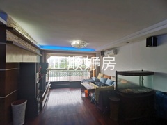 客厅
