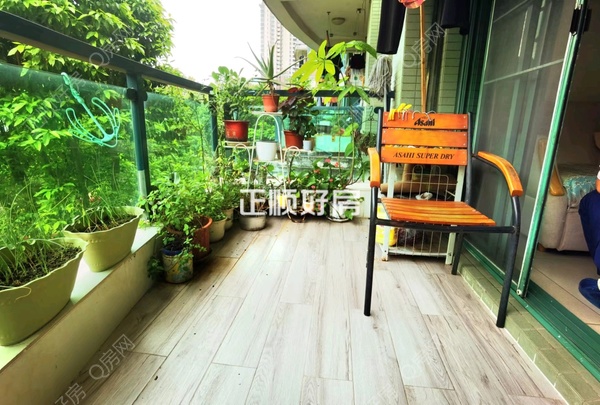 客厅