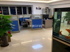 客厅
