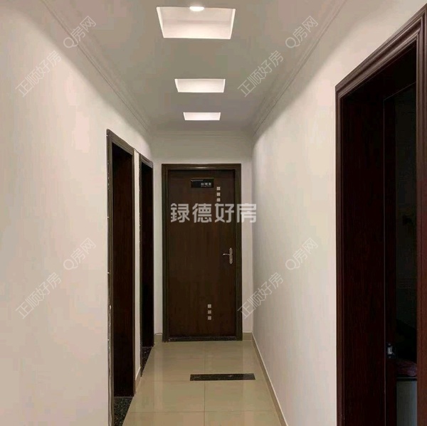 客厅