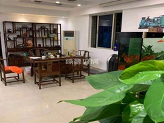 客厅