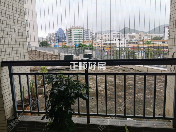 客厅