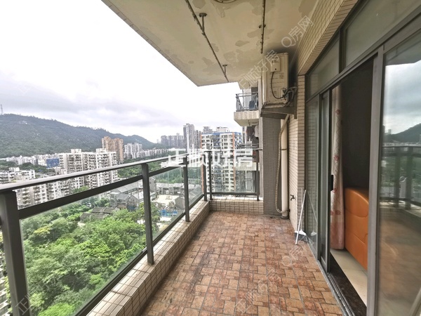 客厅