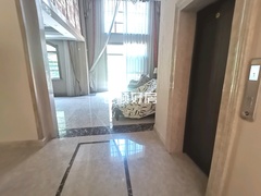 客厅