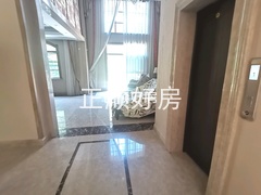 客厅