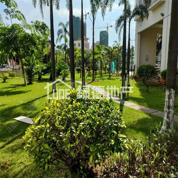 s845E171EF483498AB10DC01250B4CC61.jpg
