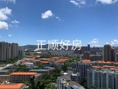 sA9DA81B43FCE49A3A288765F9D390816.jpg