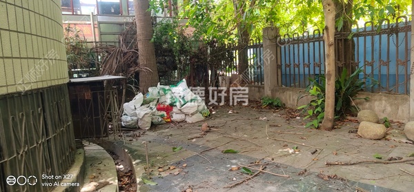 客厅