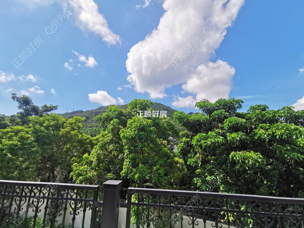 客厅