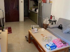 s1969179898704C7FBE940629C67B16B4.jpg