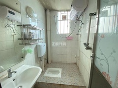s91ED93D636D048B38EBC5DC1B36B049B.jpg