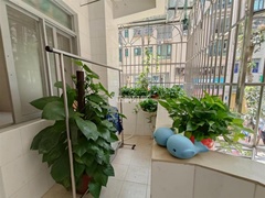 sACB9BCCFAE24429CAF54F3D0045EBE75.jpg